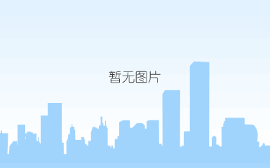 股东背景